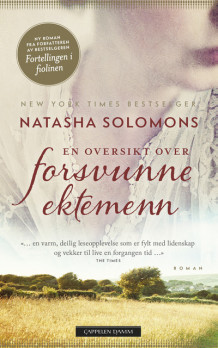 En oversikt over forsvunne ektemenn av Natasha Solomons (Heftet)