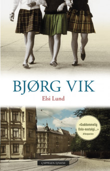 Elsi Lund av Bjørg Vik (Heftet)