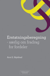 Erstatningsberegning av Arnt Erlend Skjefstad (Innbundet)