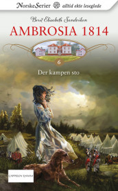 Der kampen sto av Berit Elisabeth Sandviken (Ebok)