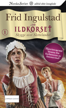 Skygge over Slettelandet av Frid Ingulstad (Heftet)