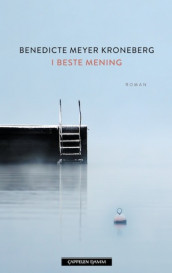 I beste mening av Benedicte Meyer Kroneberg (Ebok)