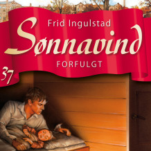 Forfulgt av Frid Ingulstad (Nedlastbar lydbok)