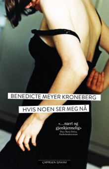 Hvis noen ser meg nå av Benedicte Meyer Kroneberg (Heftet)