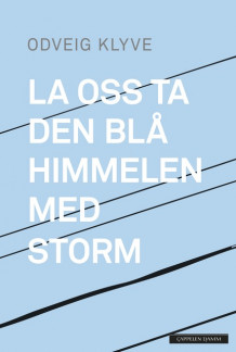 La oss ta den blå himmelen med storm av Odveig Klyve (Innbundet)