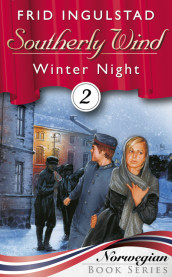 Winter Night av Frid Ingulstad (Ebok)