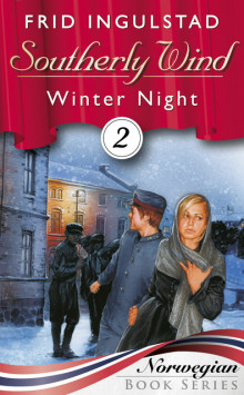 Winter Night av Frid Ingulstad (Ebok)
