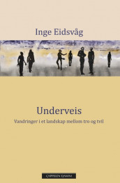 Underveis av Inge Eidsvåg (Ebok)