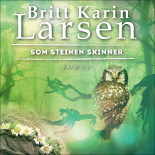 Som steinen skinner av Britt Karin Larsen (Nedlastbar lydbok)