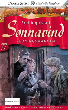 Redningsmannen av Frid Ingulstad (Ebok)