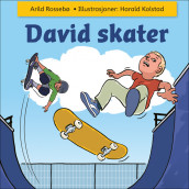 David skater av Arild Rossebø (Nedlastbar lydbok)