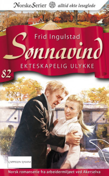 Ekteskapelig ulykke av Frid Ingulstad (Ebok)
