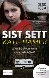 Sist sett av Kate Hamer (Ebok)