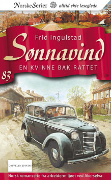 En kvinne bak rattet av Frid Ingulstad (Ebok)