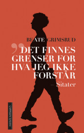 Det finnes grenser for hva jeg ikke forstår av Beate Grimsrud (Ebok)