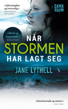 Når stormen har lagt seg av Jane Lythell (Ebok)