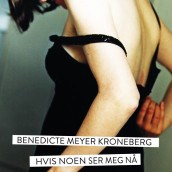 Hvis noen ser meg nå av Benedicte Meyer Kroneberg (Nedlastbar lydbok)