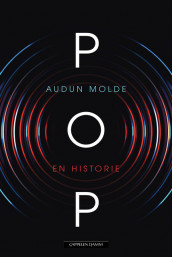 Pop av Audun Molde (Ebok)