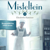 Hemmelig beundrer av Elisabeth Hammer (Nedlastbar lydbok)