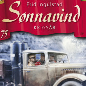 Krigsår av Frid Ingulstad (Nedlastbar lydbok)