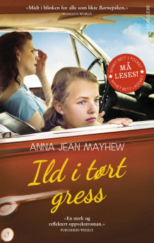 Ild i tørt gress av Anna Jean Mayhew (Ebok)