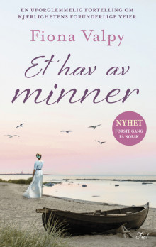 Et hav av minner av Fiona Valpy (Ebok)