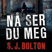 Nå ser du meg av S.J. Bolton (Nedlastbar lydbok)