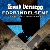 Forbindelsene av Trond Vernegg (Nedlastbar lydbok)