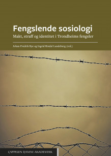 Fengslende sosiologi av Johan Fredrik Rye og Ingrid Rindal Lundeberg (Ebok)