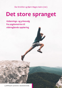 Det store spranget av Åse Streitlien og Bjørn Magne Aakre (Heftet)