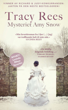 Mysteriet Amy Snow av Tracy Rees (Ebok)