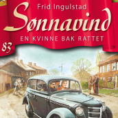 En kvinne bak rattet av Frid Ingulstad (Nedlastbar lydbok)