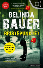 Bristepunktet av Belinda Bauer (Ebok)