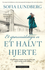 Et spørsmålstegn er et halvt hjerte av Sofia Lundberg (Ebok)