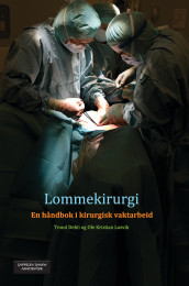 Lommekirurgi av Trond Dehli og Ole Kristian Losvik (Ebok)