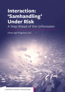 Interaction: 'Samhandling' Under Risk av Glenn-Egil Torgersen, Johan Bergh, Brita Bjørkelo, Ole Boe, Tone Cecilie Carlsten, Eric Carlström, Irmelin Drake, Odin Faustevåg, Kristian Firing, Pål Fredriksen, Kjersti Halvorsen, Gila Hammer Furnes, Berit Kristin Haugdal, Tormod Heier, Marius Herberg, Hitoshi Kawano, Olav Kjellevold Olsen, Tommy Krabberød, Tore Listou, Leif Inge Magnussen, Raino Malnes, Ingrid Nyhus, Jan O. Jacobsen, Ann Christin Rivenes, Torbjørn Rundmo, Per Øystein Saksvik, Trygve Steiro, Marianne Storm, Herner Sæverot, Carl Cato Wadel, Tobias Werler og Siri Wiig (Heftet)