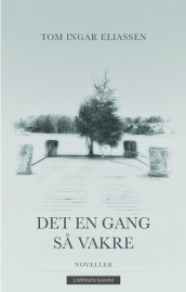 Det en gang så vakre av Tom Ingar Eliassen (Innbundet)