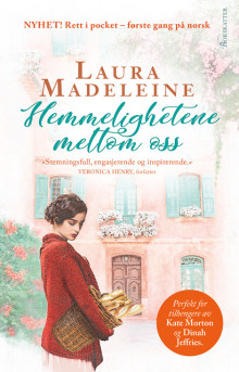 Hemmelighetene mellom oss av Laura Madeleine (Ebok)