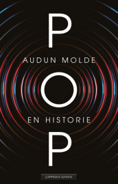 POP. En historie av Audun Molde (Heftet)