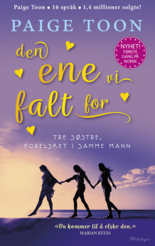 Den ene vi falt for av Paige Toon (Ebok)