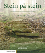 Stein på stein Tekstbok av Elisabeth Ellingsen og Kirsti Mac Donald (Heftet)