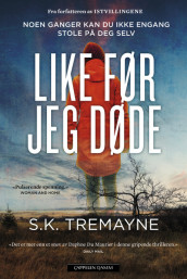 Like før jeg døde av S.K. Tremayne (Ebok)