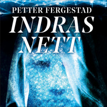 Indras nett av Petter Fergestad (Nedlastbar lydbok)
