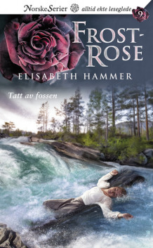 Tatt av fossen av Elisabeth Hammer (Heftet)