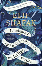 10 minutter og 38 sekunder i vår underlige verden av Elif Shafak (Innbundet)