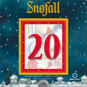 Snøfall 20. desember av Hanne Hagerup og Hilde Hagerup (Nedlastbar lydbok)