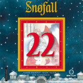 Snøfall 22. desember av Hanne Hagerup og Hilde Hagerup (Nedlastbar lydbok)