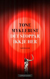 Det stoppar ikkje her av Tone Myklebust (Ebok)