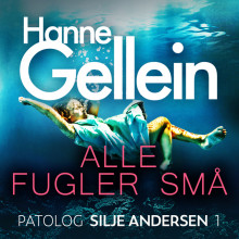 Alle fugler små av Hanne Gellein (Nedlastbar lydbok)