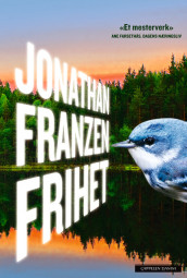 Frihet av Jonathan Franzen (Ebok)